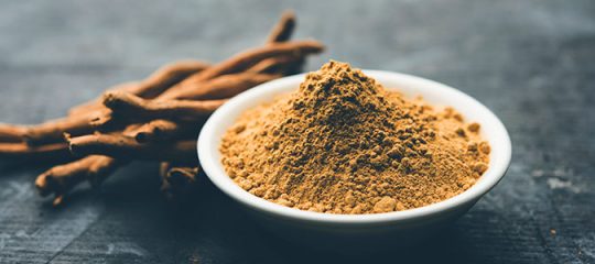 les vertus medicinales de l ashwagandha