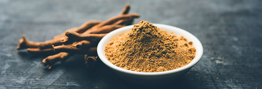 les vertus medicinales de l ashwagandha