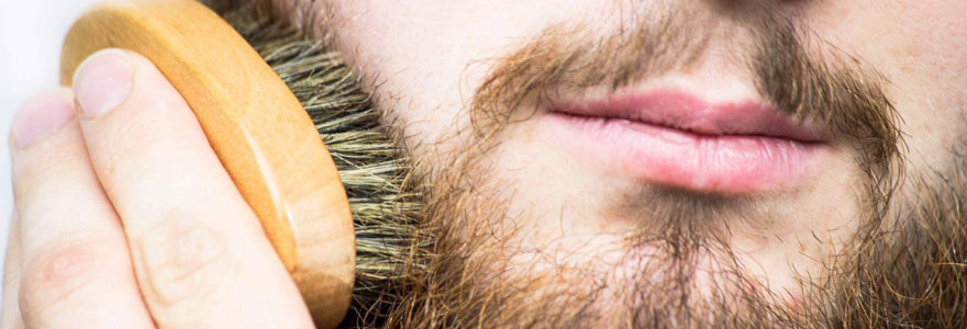 Brosse pour barbes