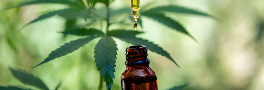 cannabidiol